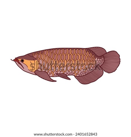 Cartoon Vector illustration arowana fish icon Isolated on White Background