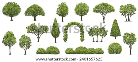 Vector Tree Illustration Set Isolated On A White Background.  Royalty-Free Stock Photo #2401657625