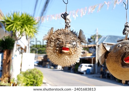 The lamp puffer fish electronics model on sell , street market. Royalty-Free Stock Photo #2401683813