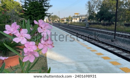 Picture of flowers along the train walkway