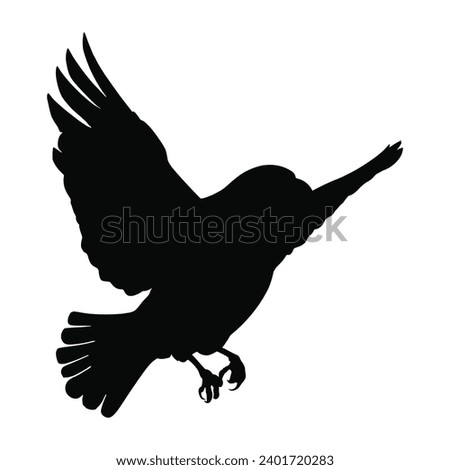 Bird flying silhouette on white