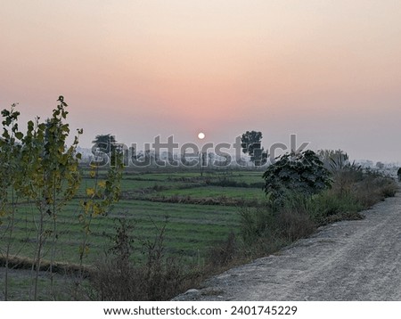 This is the sunset picture in northern area forest this also looks like an evening timings this is sun view and I clicked a photo durning travel and this is summer 
season I love nature very more