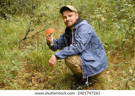 A mushroom picker holds in his hands an aspen bush growing in the forest. Mushrooms in the forest. Mushroom picking.