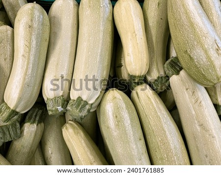 Macro photo vegetable green fresh zucchini. Stock photo fresh organic zucchini market background