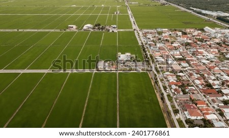 Aerial view of paddy field at Sekinchan, Malaysia. Agriculture landscape. Aerial photography.