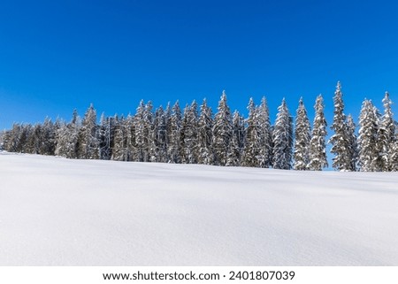 Snowy landscape with trees and blue sky useable as background or banner