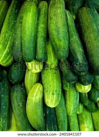 Cucumbers top view, greenhouse cucumbers, long cucumbers, vegetables harvest, food background, place for text