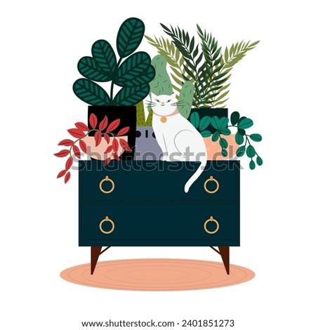 image of a chest of drawers with indoor plants and a cat on a white background in vintage style