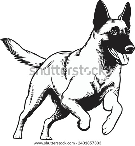 Black and White Vector illustration of a Belgian Malinois Dog Royalty-Free Stock Photo #2401857303