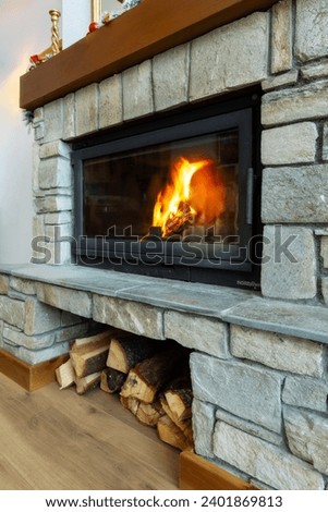 Stone Fireplace with Flames of burning fire, Rustic Style Cozy Home in Winter