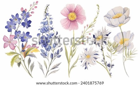 Hand drawn detailed watercolor wild flowers vector. Flowering plants, blooming flowers isolated on white background.  Royalty-Free Stock Photo #2401875769