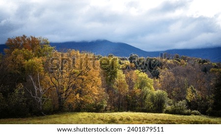 Landscape trees and field looking toward the Appalachian mountains at dawn in Vermont. Royalty-Free Stock Photo #2401879511