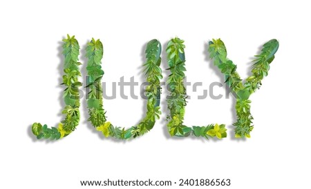 JULY, month, word or text made from various kinds of leaves isolated on transparent background, PNG, suitable for template design	
