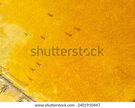Sports Photography. Aerial Landscapes. Bird's eye view of a crowd of children playing football under the sunshine. Aerial Shot from a flying drone.