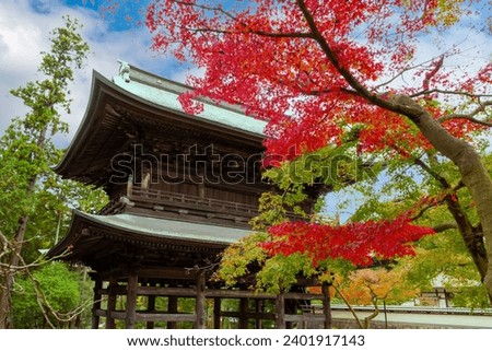 Scenery of Engakuji Temple, Kamakura City, Kanagawa Prefecture (autumn leaves season) Royalty-Free Stock Photo #2401917143