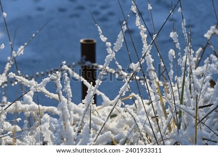 winter - fluffy white snow on the grass