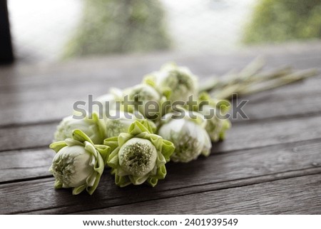 Fresh White Lotus Flower folded.  Thai style. lotus flower on wooden table.