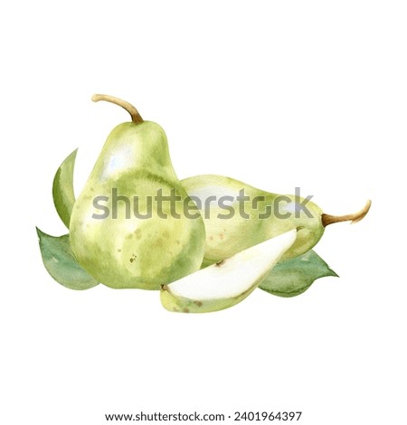 Watercolor hand drawn green pears food illustrations. Summer fruits with green leaves arrangements for kitchen, plate, label, logo design. Clip art for invitation, card, wedding design