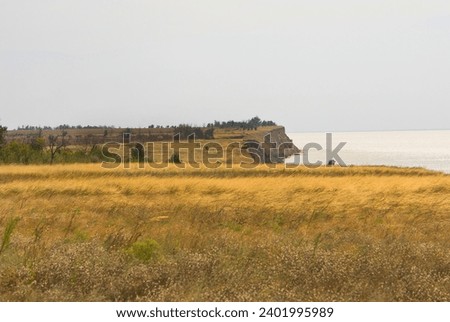 Geography. 30-meter clay cliffs on banks of Dnieper-Bug freshwater estuary as result of water erosion. Dry gullets and copses. Remains of untilled mat grass steppes (true steppe, virgin land) Royalty-Free Stock Photo #2401995989
