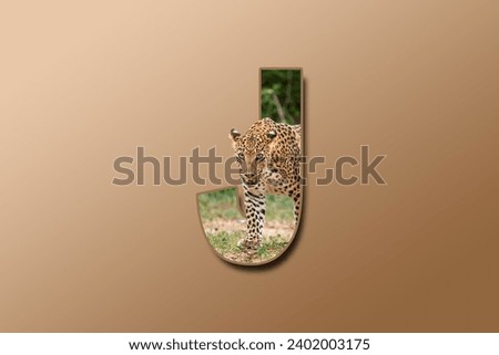 The letter J is embedded with a picture of the animal Jaguar. Great animal background.