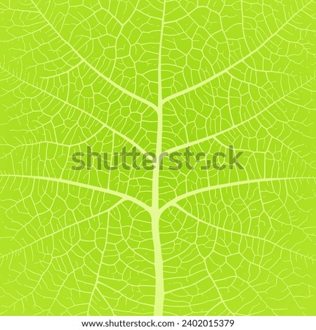 Leaf vein texture abstract background with close up plant leaf cells ornament texture pattern. Black and white organic macro linear pattern of nature leaf foliage vector illustration. Royalty-Free Stock Photo #2402015379