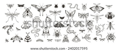 Mystical celestial beetles, moth, butterfly clipart bundle, magic black and white insects silhouettes in vector, unreal hand drawn night moth, isolated elements set