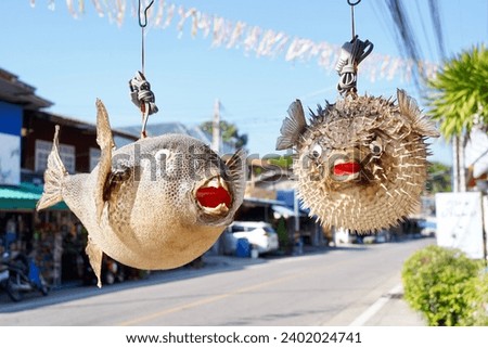 The lamp puffer fish electronics model on sell , street market. Royalty-Free Stock Photo #2402024741