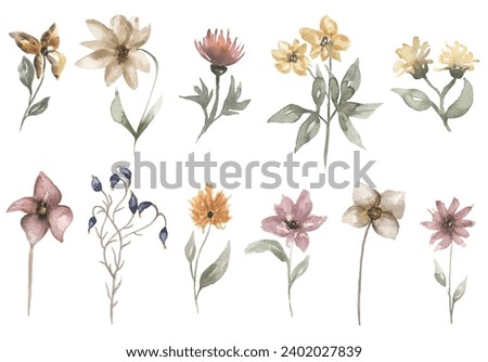 Watercolor wildflowers illustration set, meadow flowers clip art, vintage florals clipart