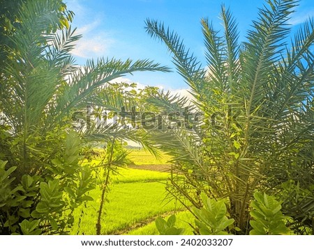 "Serene landscapes embrace, where sun-kissed meadows meet whispering forests. Nature's symphony unfolds, birdsong and rustling leaves weaving a tranquil tapestry of beauty and harmony." Royalty-Free Stock Photo #2402033207