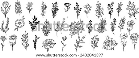 Plant illustration set, flowers and leaves clip art, hand drawn line art sketches, modern isolated doodle collection Royalty-Free Stock Photo #2402041397