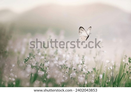 white butterfly flies free in the middle of a flowery meadow Royalty-Free Stock Photo #2402043853