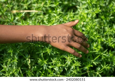 A man puts his hand on green tree and green background