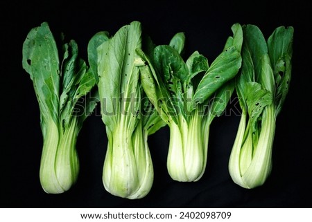 Harvest healthiness with a vibrant display of green Chinese cabbage, 100% organic, and free from toxic chemicals, The black background enhances the natural beauty of this fresh