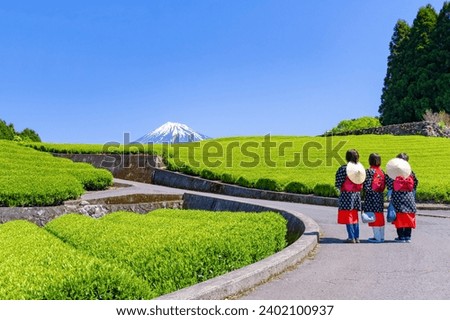 Scenery of the tea plantation in Obuchi Sasaba, Fuji City, Shizuoka Prefecture Royalty-Free Stock Photo #2402100937