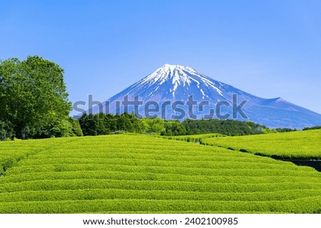 Scenery of the tea plantation in Obuchi Sasaba, Fuji City, Shizuoka Prefecture Royalty-Free Stock Photo #2402100985