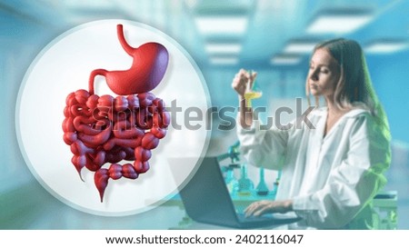 Gastrointestinal tract. Doctor gastroenterologist. Girl doctor in white coat. Woman gastroenterologist. Model intestinal tract. Doctor analyzes git. Gastroenterologist stands in clinical laboratory Royalty-Free Stock Photo #2402116047