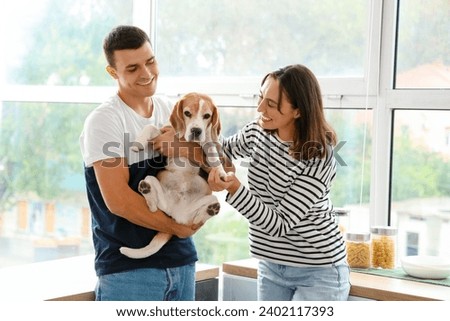 Young couple with cute Beagle dog in kitchen