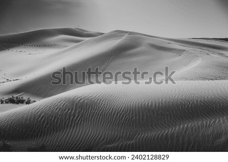 Beautiful untouched sand dunes in Inner Mongolia, China. Wallpaper, background image with copy space for text, black and white