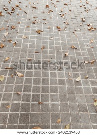 Walkway tiles with fallen dead leaves