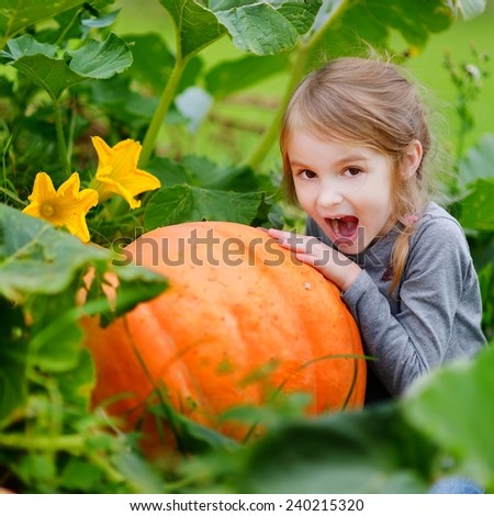 Cute little girl hugging a pumpkin in a pumpkin patch