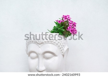 White plant on Buddhism with Phlox drummondii Hook plants inside purple color on a white background