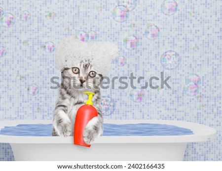 Cute kitten  covered with soap bubbles takes the bath and holds bottle of shampoo in bathroom at home. Empty space for text
