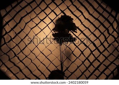 Flower silhouette with architectural light spotlight