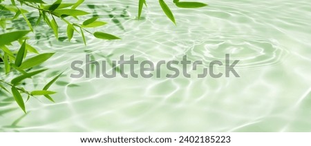 border of green bamboo leaves over sunny water surface background banner, beautiful spa nature scene with asian spirit and copy space Royalty-Free Stock Photo #2402185223
