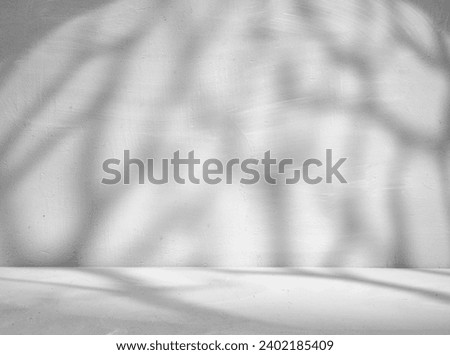 Sunlight Casting Tree Shadow Patterns on a White Wall Royalty-Free Stock Photo #2402185409