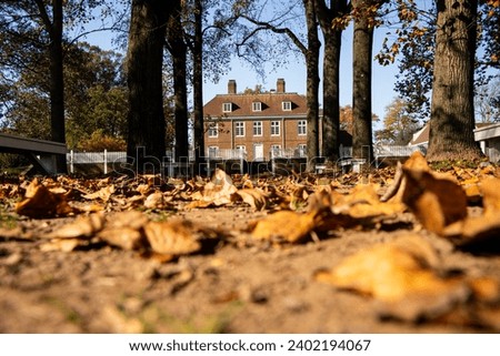 Fallen Leaves at Pennsbury Manor