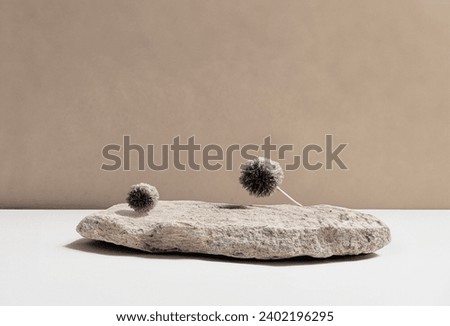 minimalism two Stone pedestal and sunlight wall shadows. Background for skin care or cosmetic products of natural brown studio color podium and dry flower Front view.