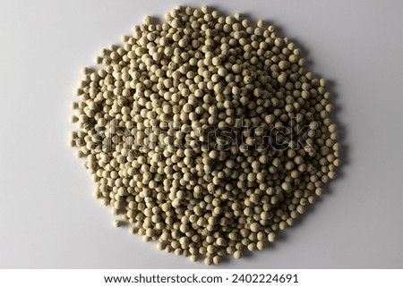 Dry white pepper  seeds piled up in circle shape isolated on white background.