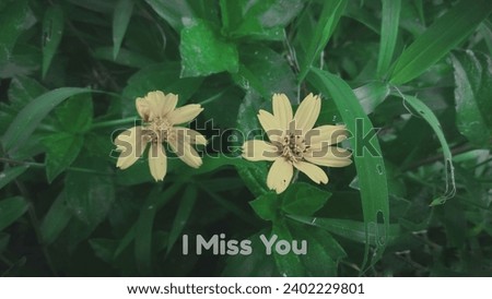faded sunflower with caption"I Miss You"