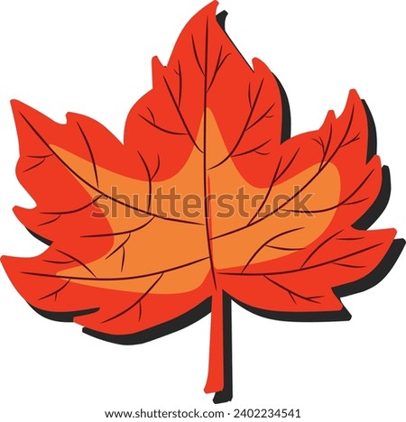 The vector illustration depicts a maple leaf with intricate details, showcasing the elegance of its form and distinctive colors.